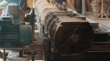 Closeup of cut pine tree log on sawing machine at wood production factory. Timber material processing and cutting at sawmill. Manufacturing process at lumber mill. Sawing woods on power machine 10 video