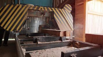 Cut pine tree log on sawing machine at wood production factory. Timber material processing and cutting at sawmill. Manufacturing process at lumber mill. Sawing woods on power machine video