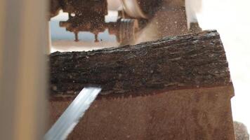 Closeup of cut pine tree log on sawing machine at wood production factory. Timber material processing and cutting at sawmill. Manufacturing process at lumber mill. Sawing woods on power machine video