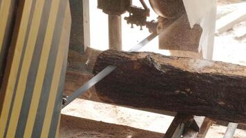 Closeup of cut pine tree log on sawing machine at wood production factory. Timber material processing and cutting at sawmill. Manufacturing process at lumber mill. Sawing woods on power machine 9 video
