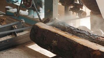 Closeup of cut pine tree log on sawing machine at wood production factory. Timber material processing and cutting at sawmill. Manufacturing process at lumber mill. Sawing woods on power machine 18 video