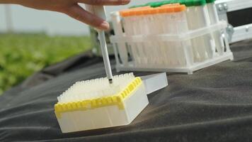 Laboratory worker holding professional glassware and testing plant sprouts before harvest in the field. 8 video