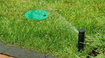 Close-up of watering the garden, grass and flowers in the Park, water drops in the sunlight. Automatic watering system for the grass and flowers. Drops of water are splashed in the sunlight. 2 video