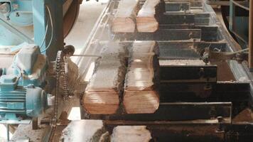 Closeup of cut pine tree log on sawing machine at wood production factory. Timber material processing and cutting at sawmill. Manufacturing process at lumber mill. Sawing woods on power machine 2 video