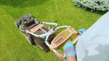 Lawn mower cutting the grass. Gardening activity. Cutting grass with petrol driven lawn mower in sunny garden. Gardener working with mower machine in the garden. Lawn mower cutting green grass 29 video