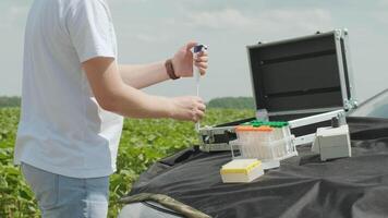 Laboratory worker holding professional glassware and testing plant sprouts before harvest in the field. 5 video