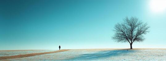 Solitary figure walking across a snow dusted field towards a lone tree under a vast blue sky photo