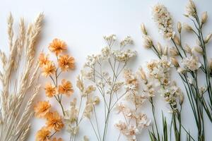 Dried flowers and wheat arranged on a white background A beautiful neutral toned floral display photo