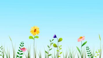 grass and wildflower animation with sky background video