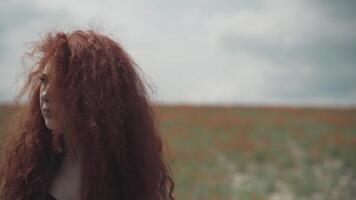 Curly red-haired girl looks away then turns and starts talking to camera. Beautiful woman with freckles on background of poppy field. Blogger in nature. video