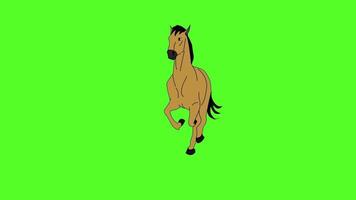 animation of a horse running on a green screen video