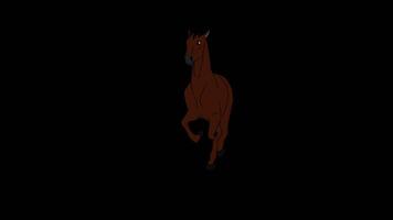 Brown horse running on alpha background video