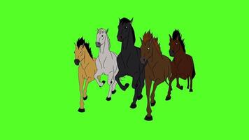 Animated horses running front view perspectiv video