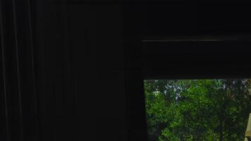 Passengers watching cityscape through bus window in nice. Action video