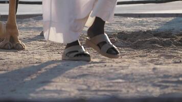 Walking beside a camel on sandy terrain in a warm desert location video