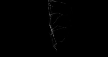 A movable interweaving of dots, lines and triangular faces on a black background. Plexuses. Digital network. Abstract animation.5 video