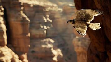 A majestic eagle soars gracefully above the rugged cliffs, showcasing its powerful wings against a stunning natural backdrop. photo