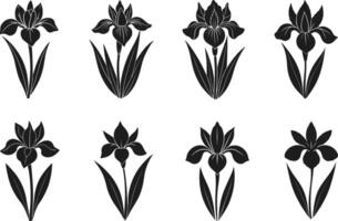 Set of Elegant Iris Flower Silhouettes - Botanical Collection for Spring and Nature Designs vector