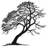 Black And White Tree Silhouette vector