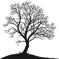 Bare Tree Silhouette Against White Background vector