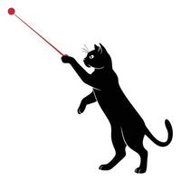 Black Cat Playing With Red Toy vector