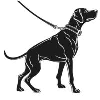 Black Dog Standing Profile With Leash vector