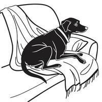 Dog Resting On An Armchair vector