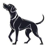 Elegant Pointer Dog Silhouette Illustration vector