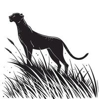 Elegant Panther Stalking In Tall Grass vector