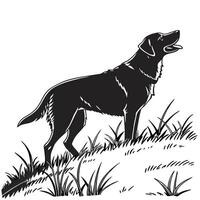 Labrador Retriever Standing In Tall Grass vector