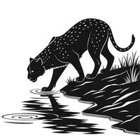Leopard Drinking Water Black And White vector