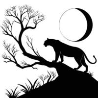 Panther On A Branch Under Moon vector