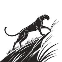 Panther Walking Through The Tall Grass vector