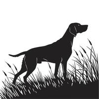 Pointer Dog Silhouette In Tall Grass vector