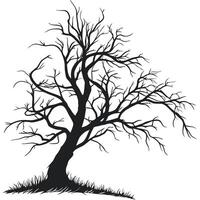 Silhouette Of A Bare Tree vector