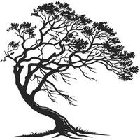 Silhouette Of A Tree Isolated vector