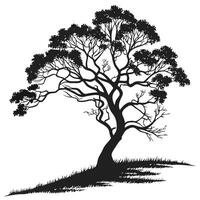 Silhouette Of A Unique Tree And Grass vector