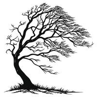 Silhouette Of A Windswept Bare Tree vector