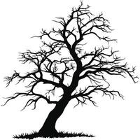 Silhouette Of Bare Tree Isolated vector