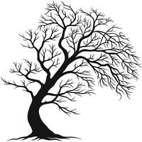 Silhouette Of Bare Tree On White vector