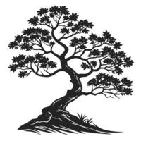 Silhouette Of Isolated Tree With Leaves vector