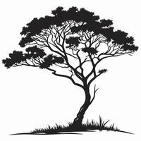 Silhouette Of Tree On White vector