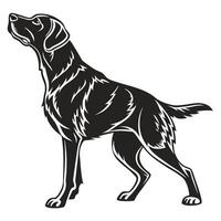 Standing Pointer Dog Black And White vector