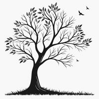 Silhouette Tree With Leaves And Birds vector