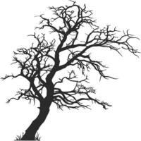 Silhouette Tree With Bare Branches vector