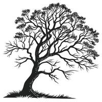 Silhouette Tree Artistic Black vector
