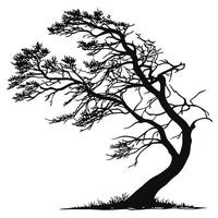 Silhouette Of Windswept Tree Isolated On White vector