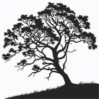 Tree Silhouette Isolated On White vector
