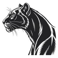 Illustration Of A Black Panther vector