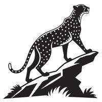 Cheetah On A Rock Monochrome vector
